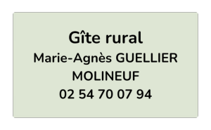 Logo partenaire Gite Molineuf