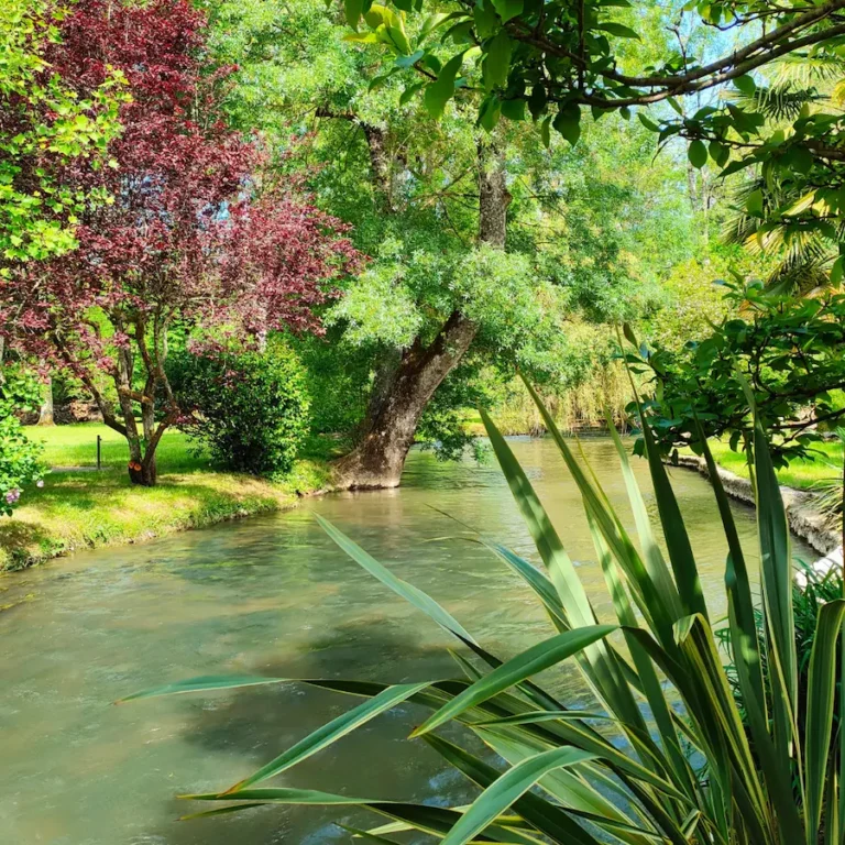 article-moulin-10