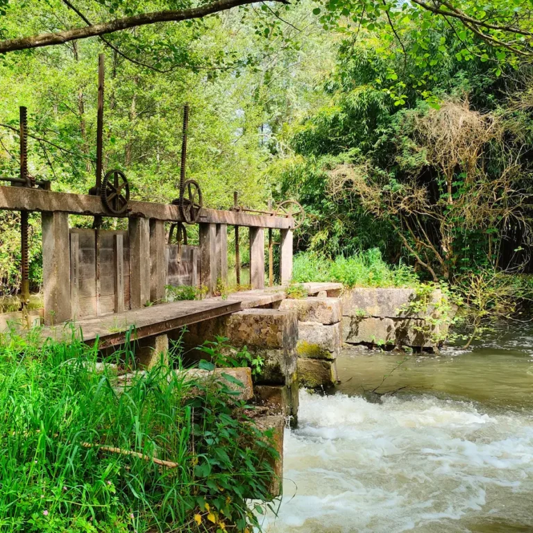 article-moulin-4