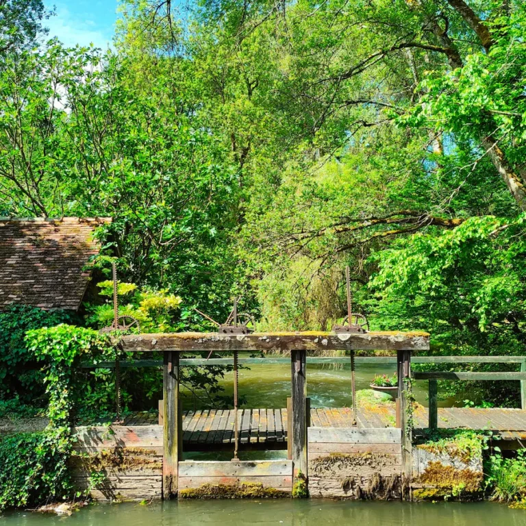 article-moulin-8